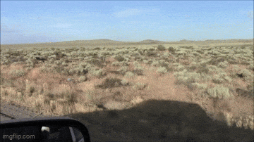 Acid GIFs, June 23 (25 gifs) Acid GIFs, June 23 (25 gifs)