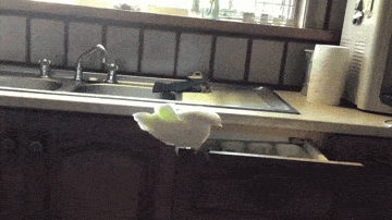 Acid GIFs, June 23 (25 gifs) Acid GIFs, June 23 (25 gifs)