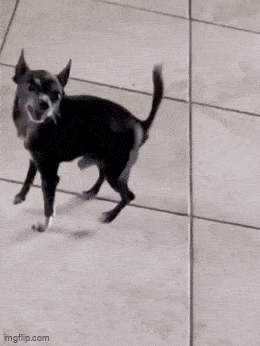 Acid GIFs, June 23 (25 gifs) Acid GIFs, June 23 (25 gifs)