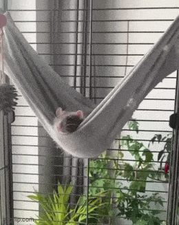Acid GIFs, June 23 (25 gifs) Acid GIFs, June 23 (25 gifs)