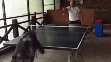 Acid GIFs, June 23 (25 gifs) Acid GIFs, June 23 (25 gifs)