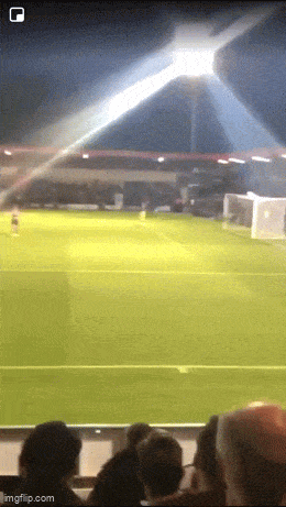 Acid GIFs, June 23 (25 gifs) Acid GIFs, June 23 (25 gifs)