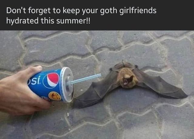 Funny Memes (17 pics)
