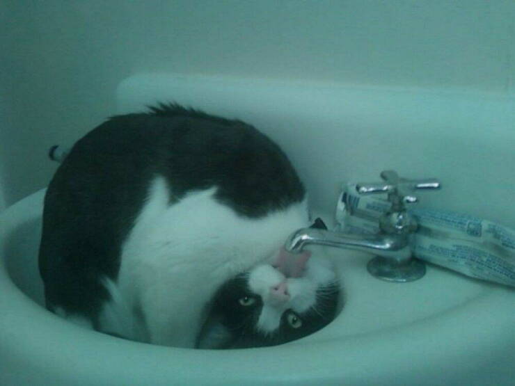 Daily Pictures. Part 1 (52 pics)