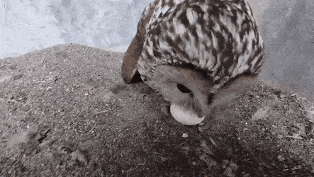 Acid GIFs, June 24 (25 gifs) Acid GIFs, June 24 (25 gifs)