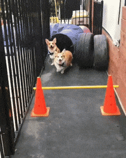 Acid GIFs, June 24 (25 gifs) Acid GIFs, June 24 (25 gifs)