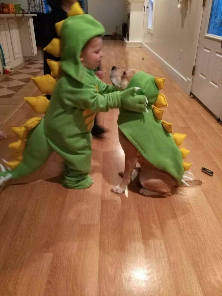 Daily Pictures. Part 1 (54 pics)
