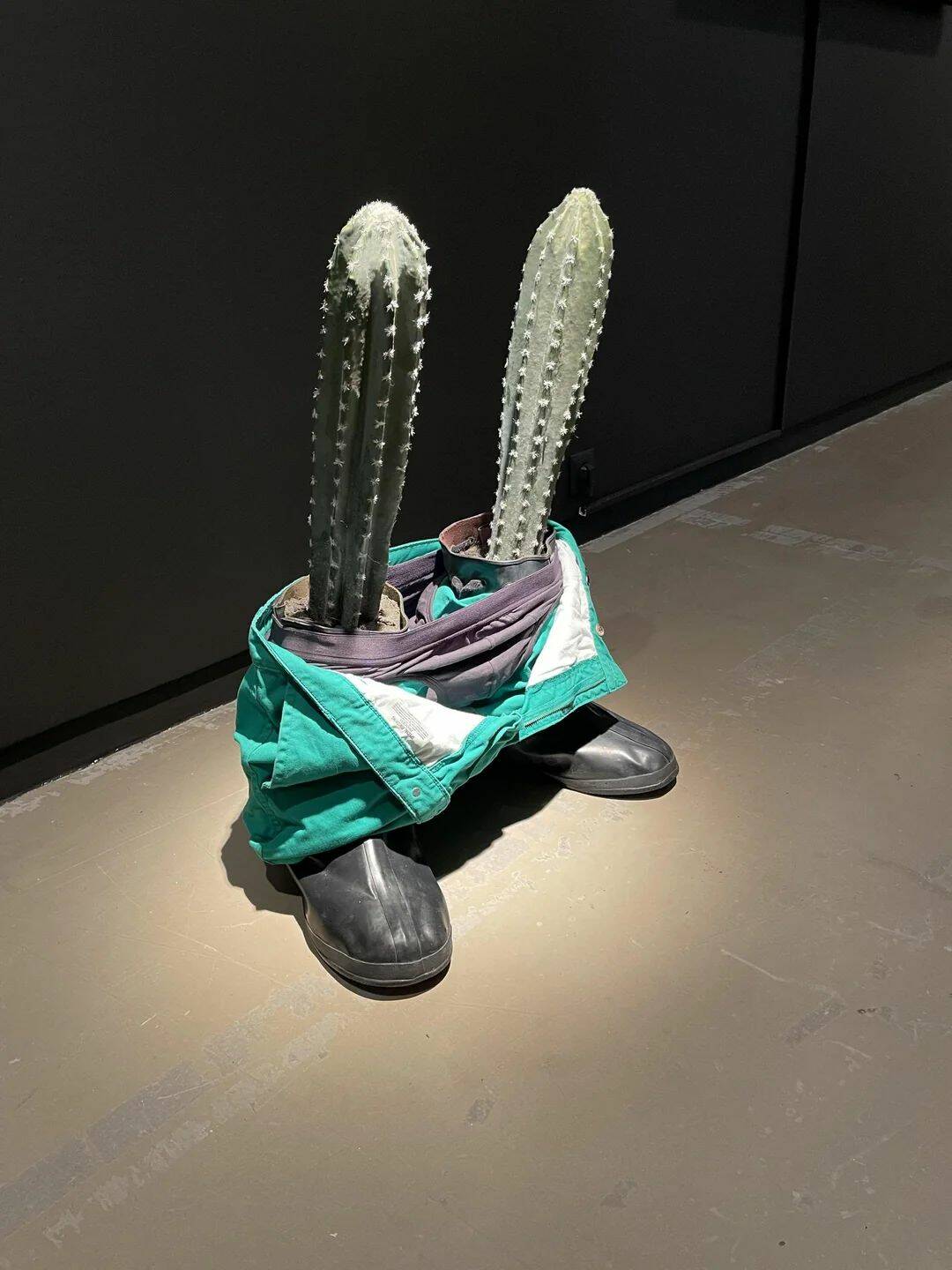 Daily Pictures. Part 1 (54 pics)