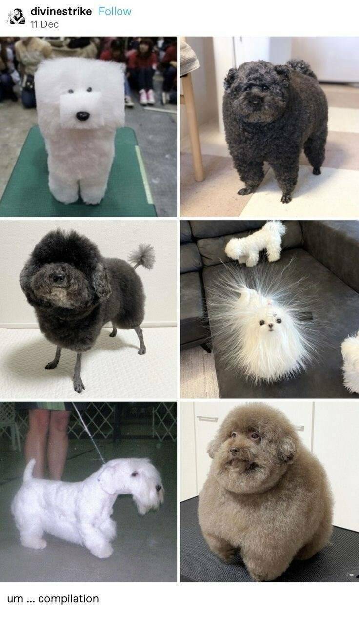 Daily Pictures. Part 2 (52 pics)