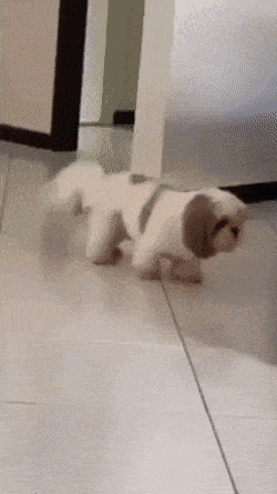 Acid GIFs, June 25 (25 gifs) Acid GIFs, June 25 (25 gifs)