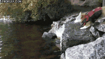 Acid GIFs, June 25 (25 gifs) Acid GIFs, June 25 (25 gifs)