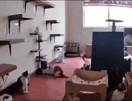 Acid GIFs, June 25 (25 gifs) Acid GIFs, June 25 (25 gifs)