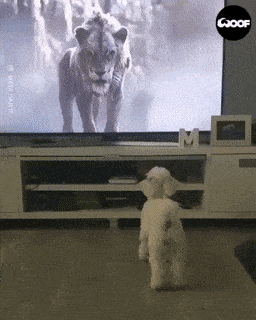 Acid GIFs, June 25 (25 gifs)