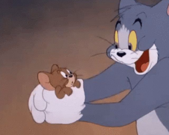 Deep Thoughts (14 gifs)