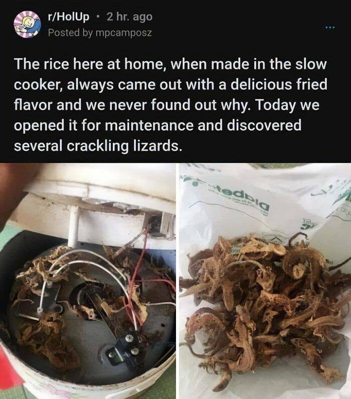 Failed Dishes (22 pics)