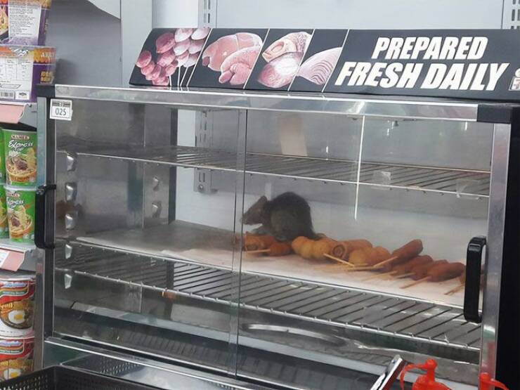 Failed Dishes (22 pics)