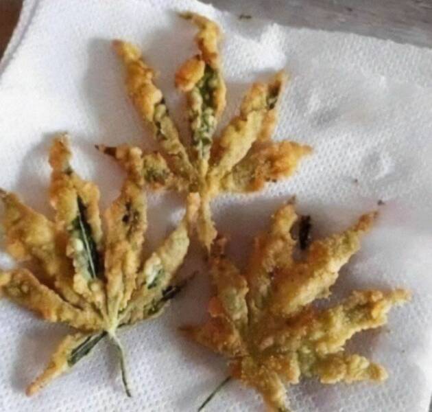 Failed Dishes (22 pics)