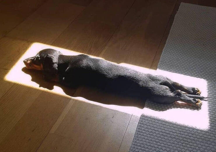 Photos For Perfectionists (22 pics)