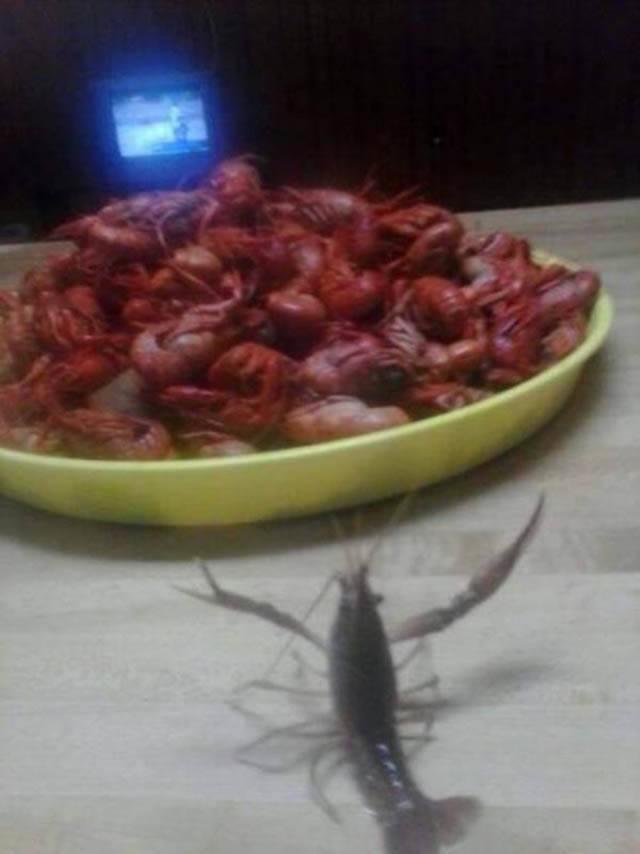 Bad Days Happen (25 pics)