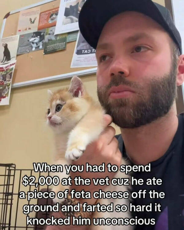 Daily Pictures. Part 2 (56 pics)