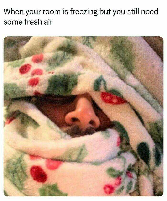Daily Pictures. Part 2 (56 pics)