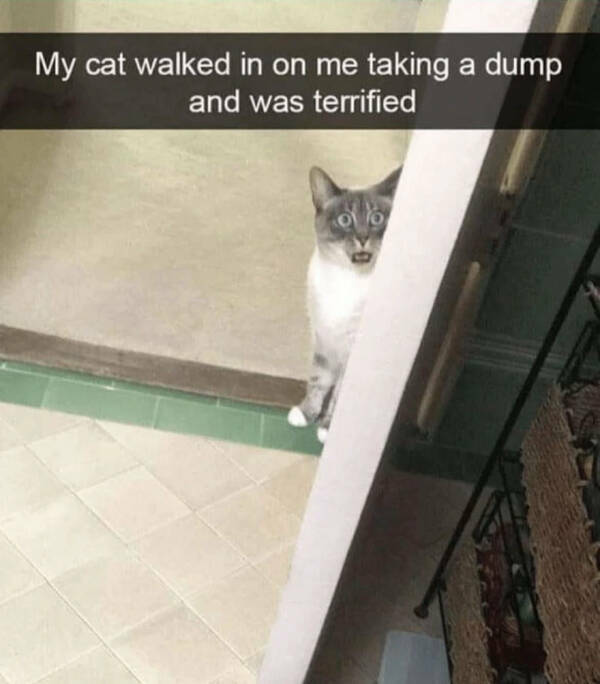 Daily Pictures. Part 2 (56 pics)