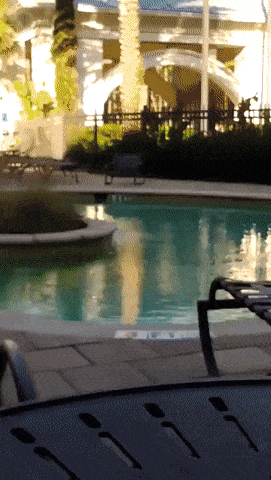 Acid GIFs, June 26 (25 gifs)