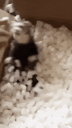 Acid GIFs, June 26 (25 gifs) Acid GIFs, June 26 (25 gifs)