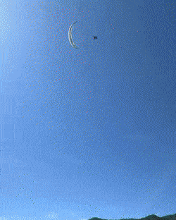 Acid GIFs, June 26 (25 gifs) Acid GIFs, June 26 (25 gifs)