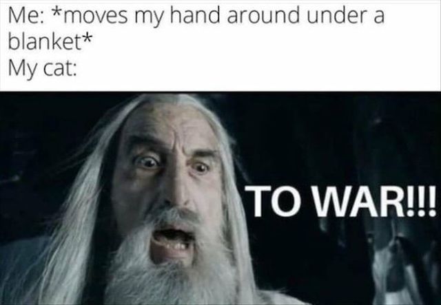 Memes For ''The Lord Of The Rings'' Fans (33 pics)