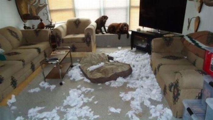 Bad Days Happen (25 pics)