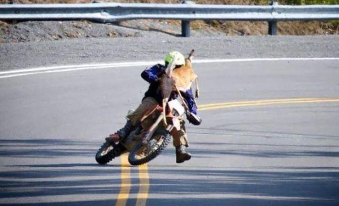 Bad Days Happen (25 pics)