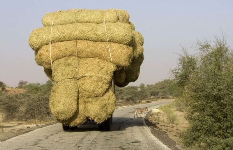 Terrible Drivers (18 pics)