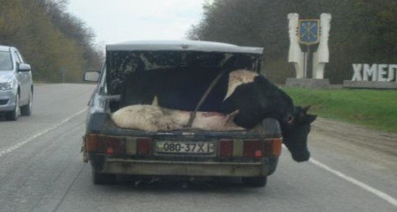 Terrible Drivers (18 pics)