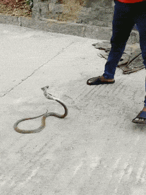 Acid GIFs, June 27 (25 gifs) Acid GIFs, June 27 (25 gifs)