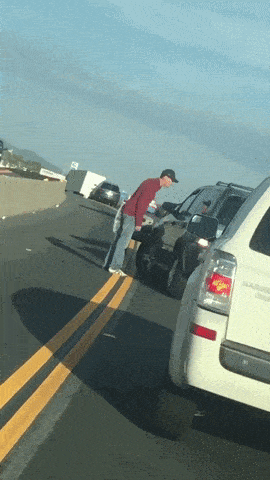Acid GIFs, June 27 (25 gifs)