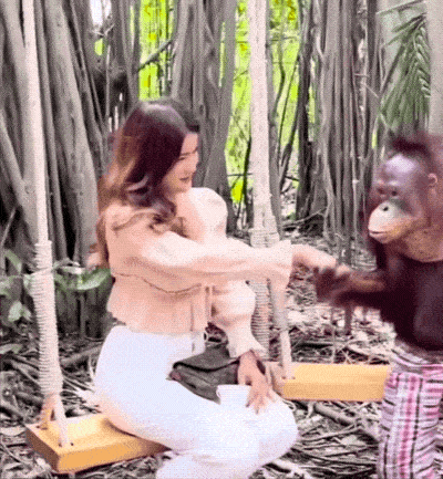 Acid GIFs, June 27 (25 gifs) Acid GIFs, June 27 (25 gifs)