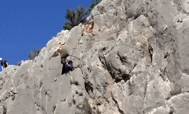 Acid GIFs, June 27 (25 gifs)