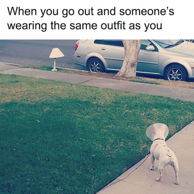 Memes For Dog Lovers (23 pics)