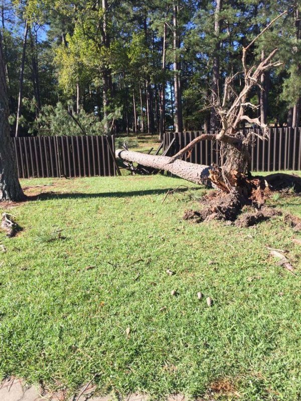 Bad Days Happen (23 pics)