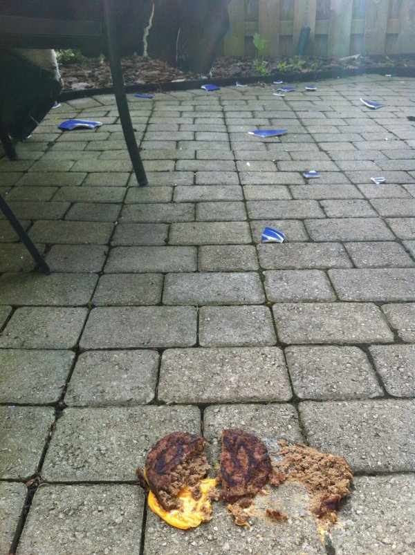 Bad Days Happen (23 pics)