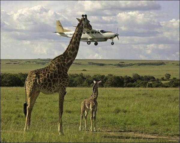 Right Moment (25 pics)
