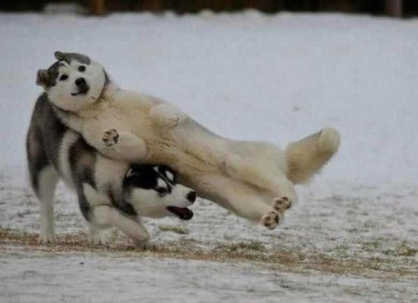 Right Moment (25 pics)