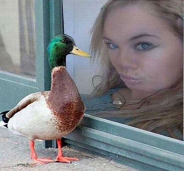 Right Moment (25 pics)