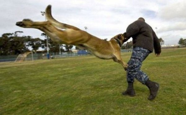 Right Moment (25 pics)