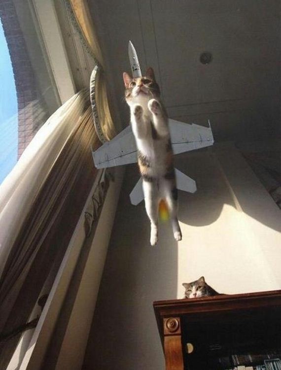 Right Moment (25 pics)