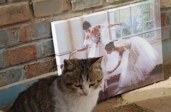 Right Moment (25 pics)