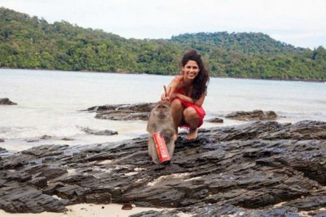 Hilarious Photobombs (23 pics)