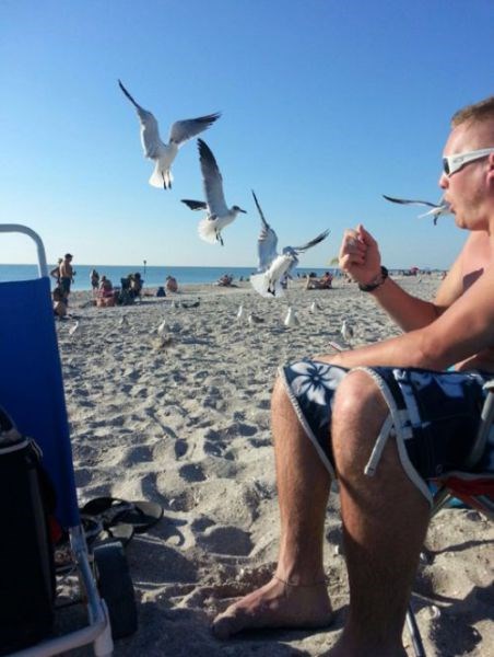 Hilarious Photobombs (23 pics)