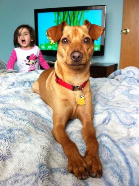 Hilarious Photobombs (23 pics)